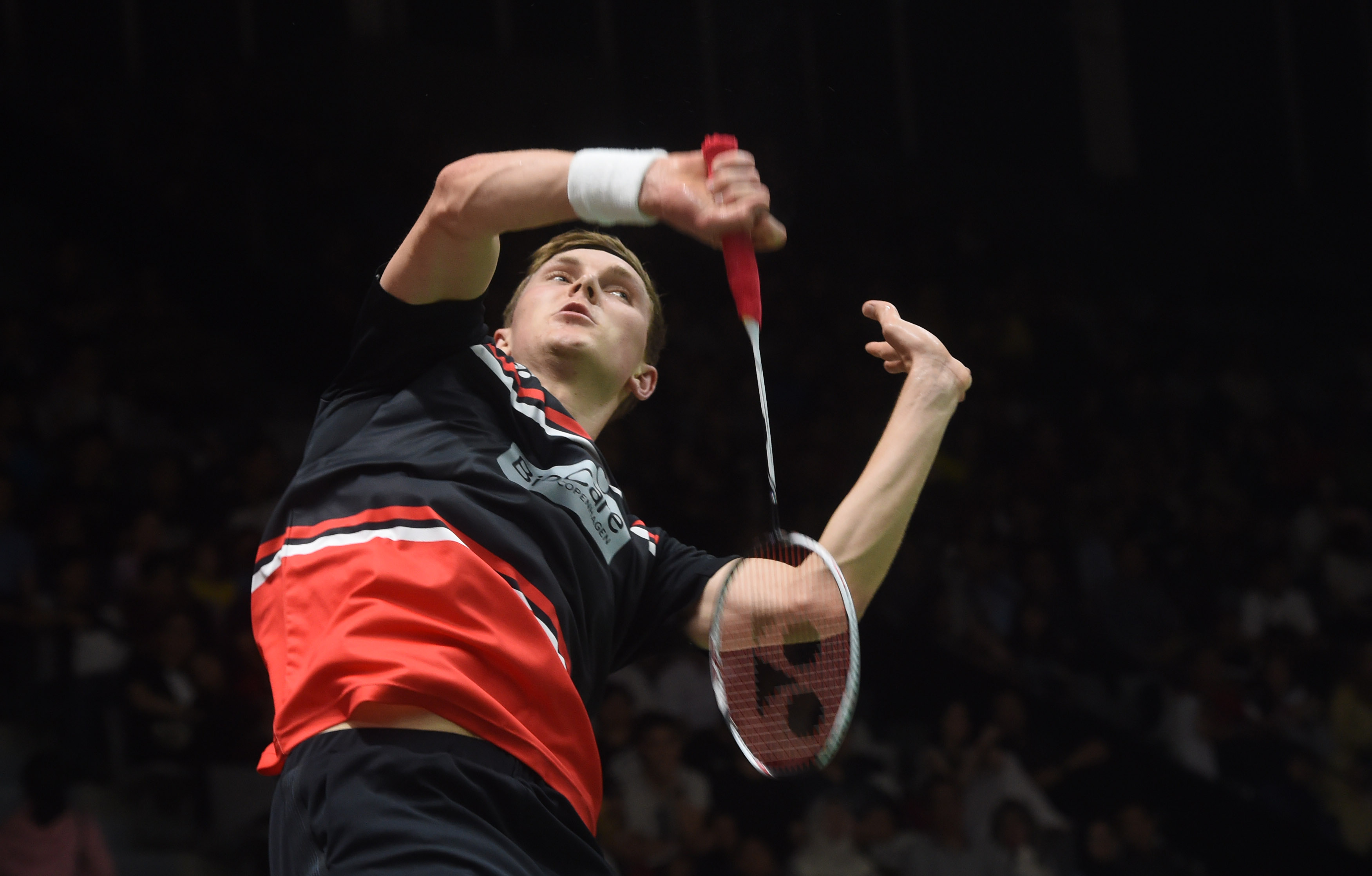 和观赏性 和观赏性