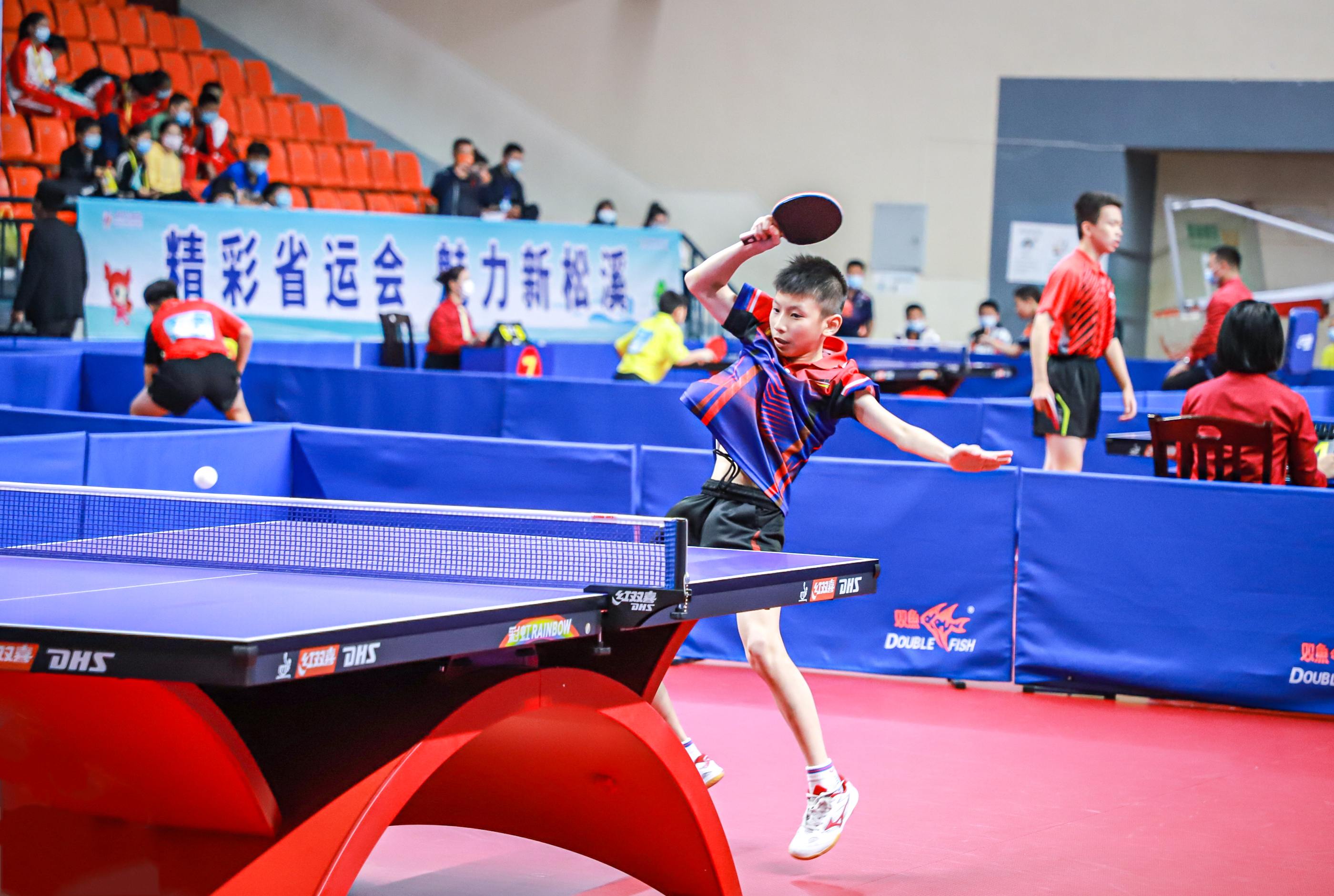 了新鲜血液 了新鲜血液