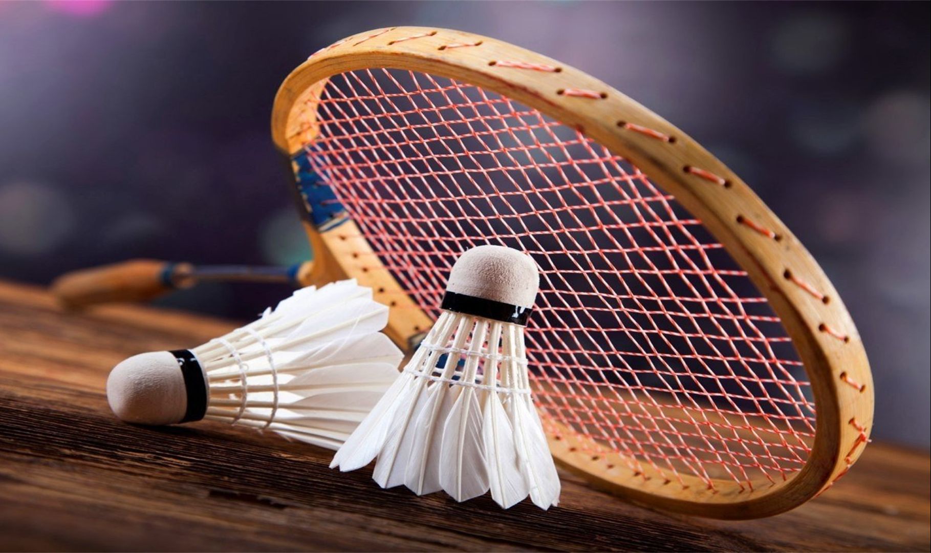 为桑德兰夏 为桑德兰夏